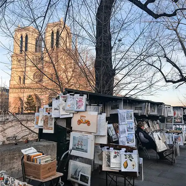 notre dame de paris